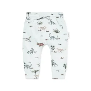 Aster & Oak Dino Harem Leggings