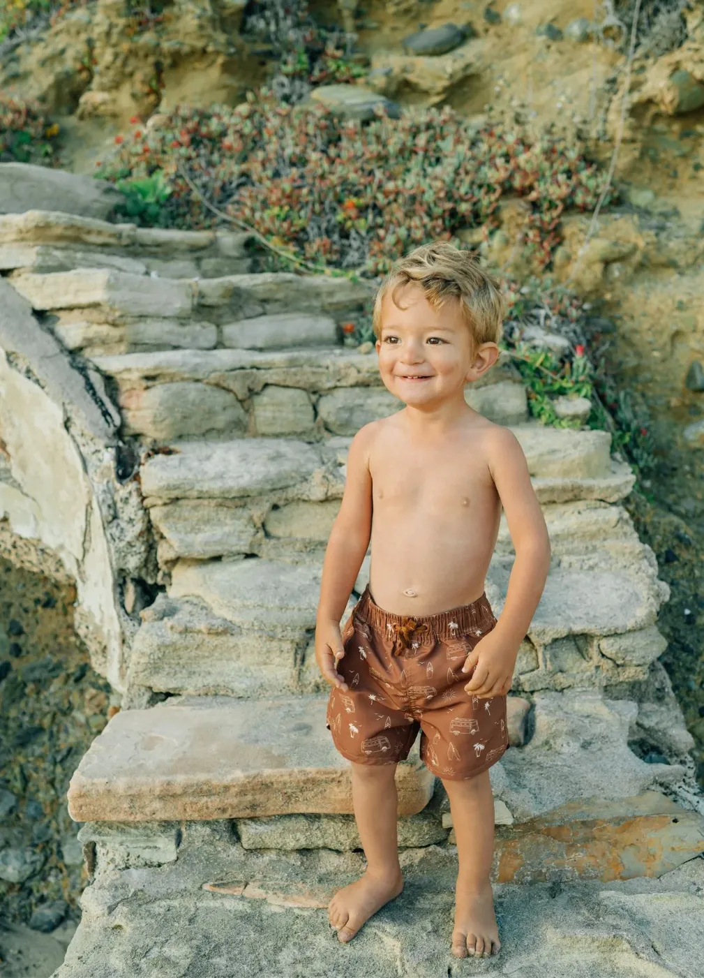Dark Rust Surf Swim Shorts