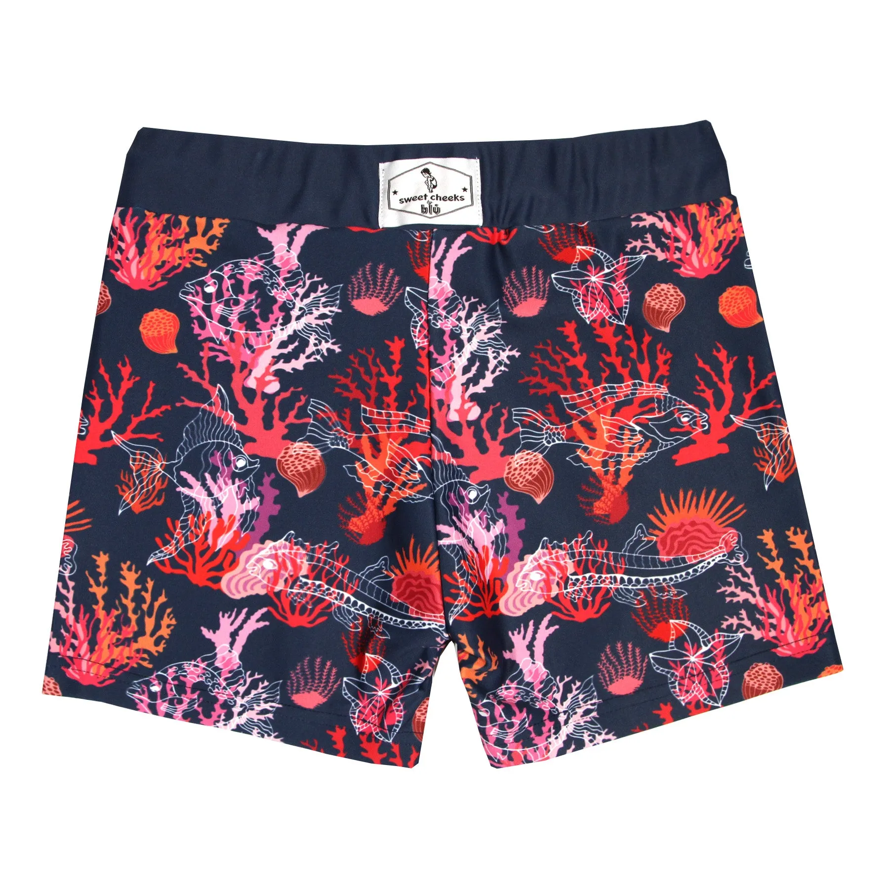 great barrier reef