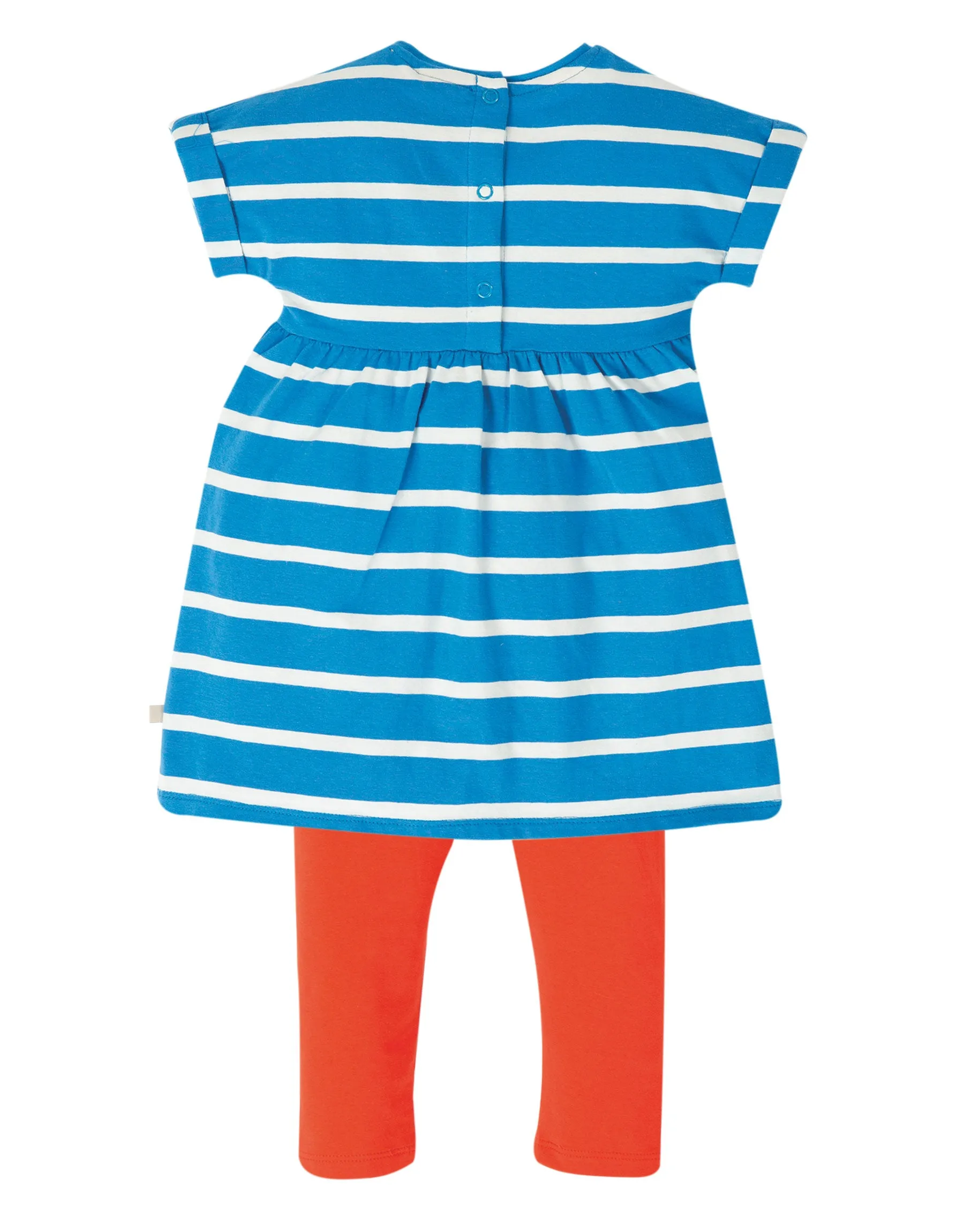 Olive Outfit - Motosu Blue Stripe/Sealife