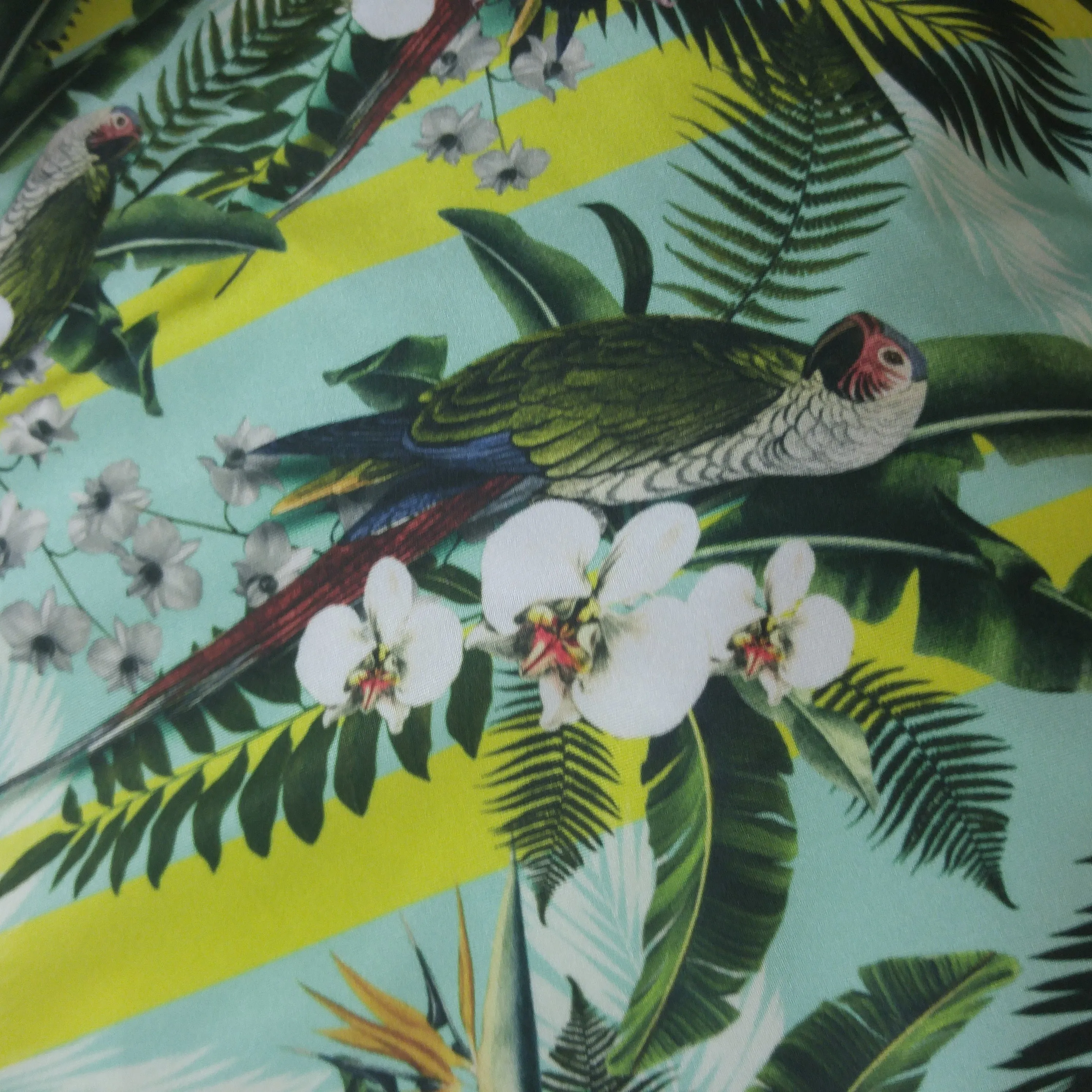The Leah swimsuit